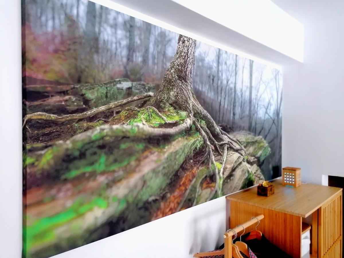 Wooden Touch Studio Брашов Экстерьер фото